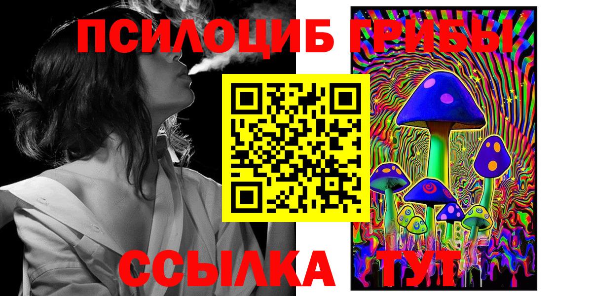 Сосновоборск  дарнет шоп  Вход с VPN  Псилоцибиновые грибы Cubensis 