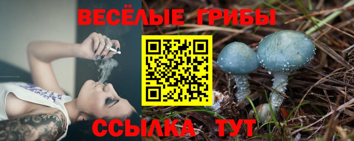 Псилоцибиновые грибы прущие грибы Сосновоборск
